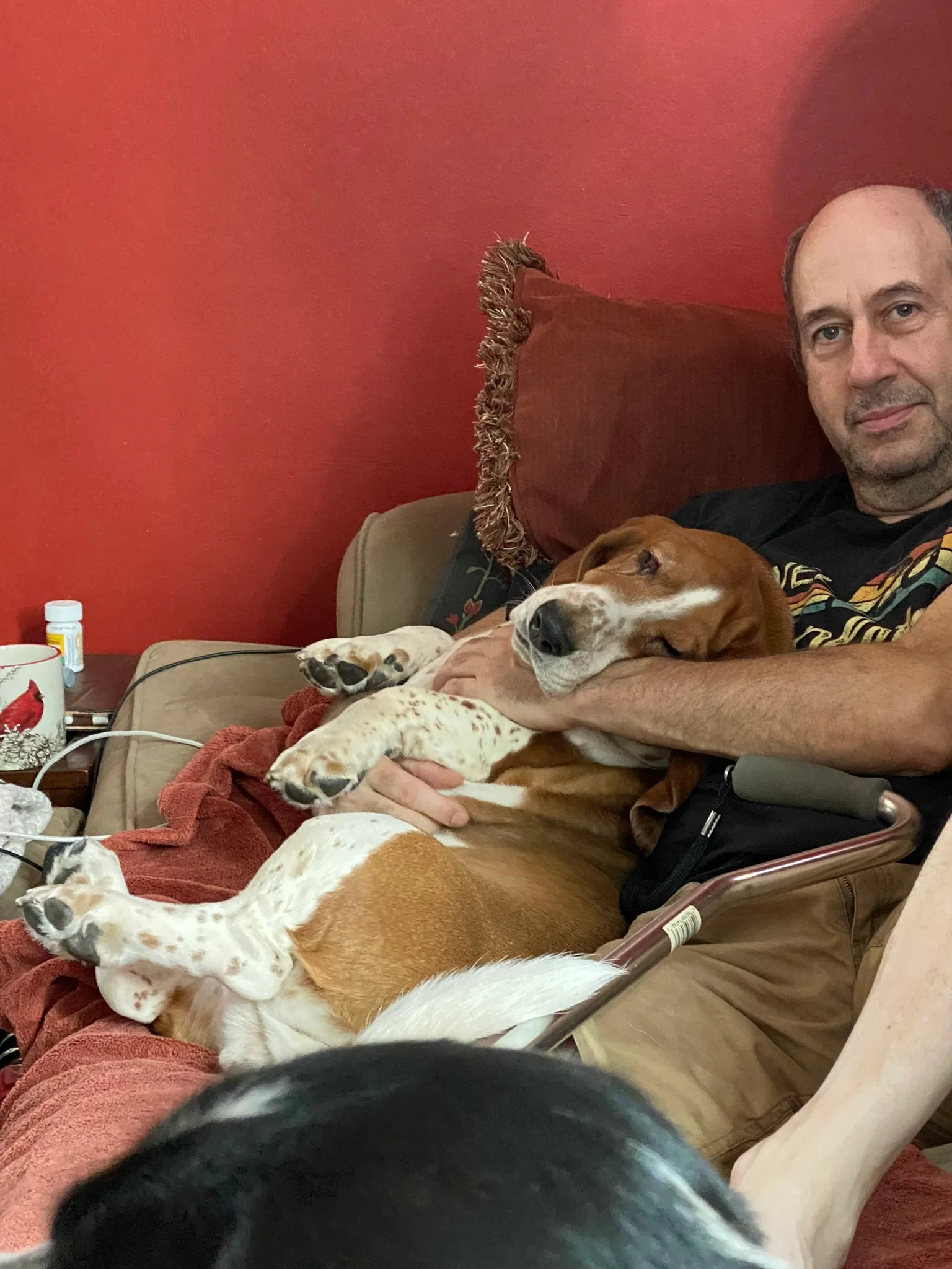 Dog resting on Ian's lap