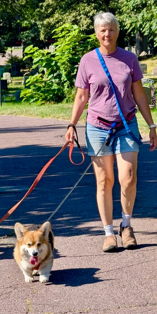 Leslie walking a corgi on a sunny neighborhood path